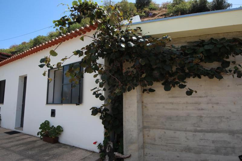Douro Yacht Charter & Bungalows São João da Pesqueira Esterno foto