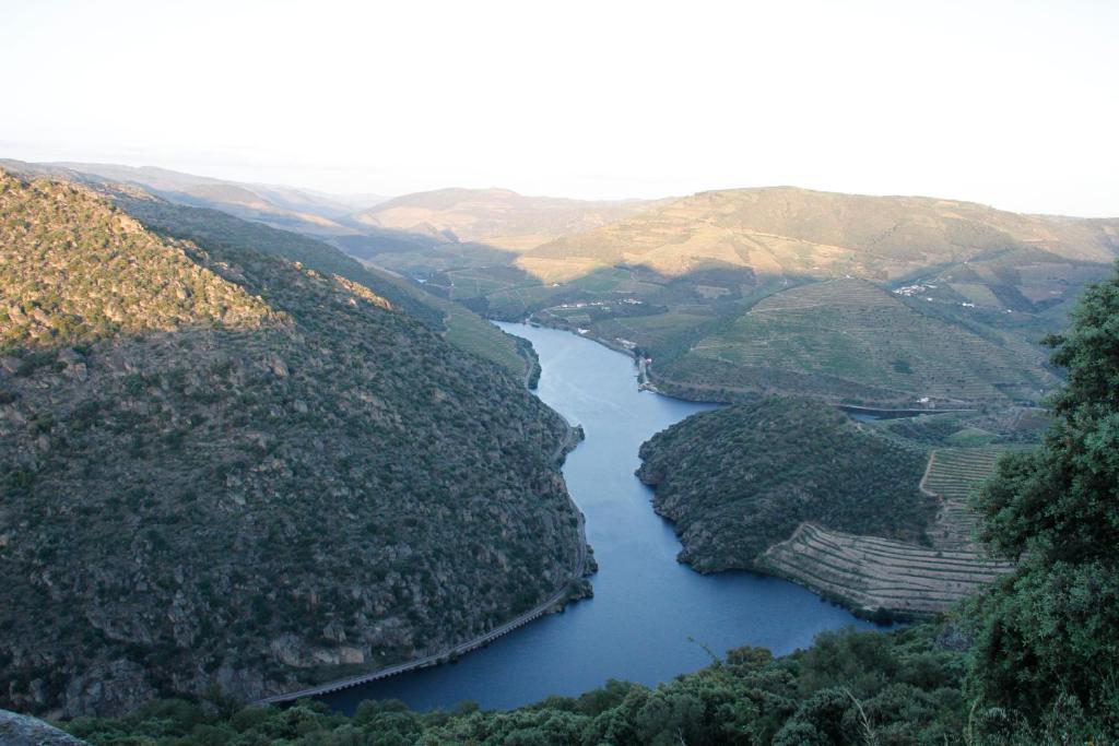 Douro Yacht Charter & Bungalows São João da Pesqueira Esterno foto