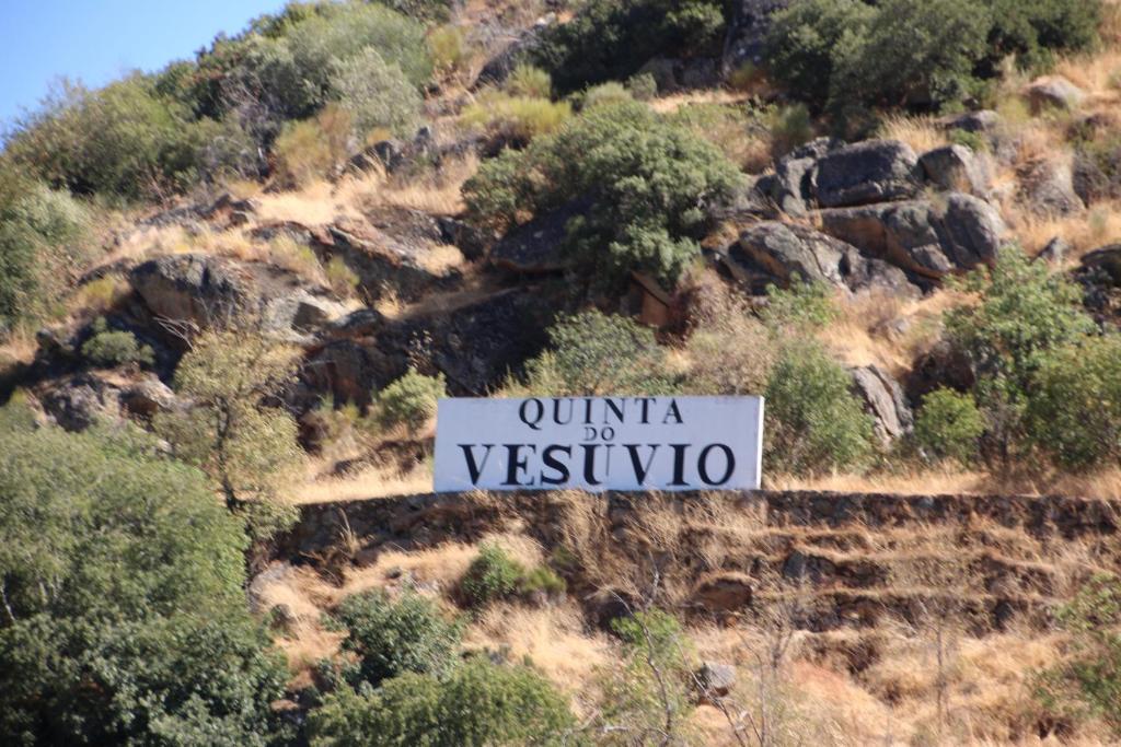 Douro Yacht Charter & Bungalows São João da Pesqueira Esterno foto