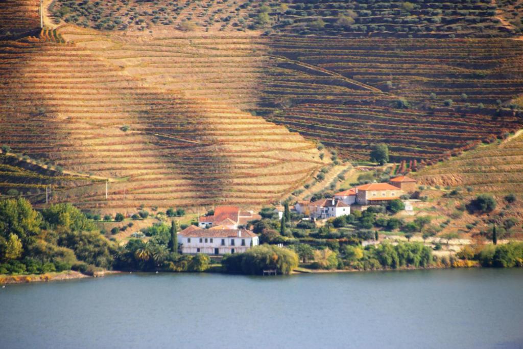 Douro Yacht Charter & Bungalows São João da Pesqueira Esterno foto