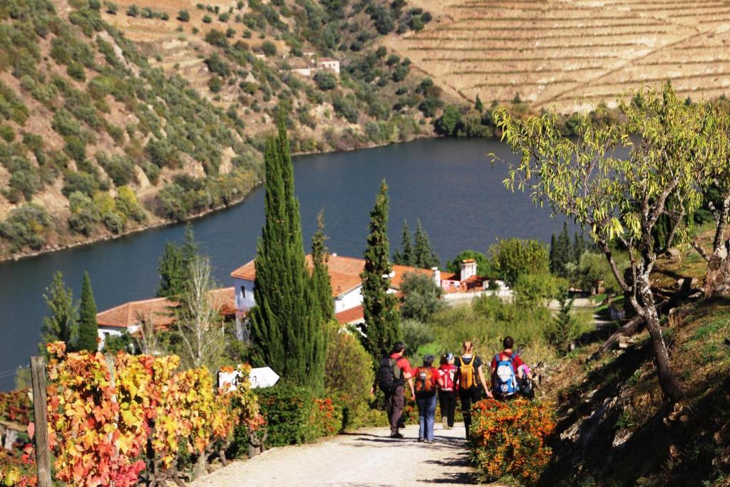 Douro Yacht Charter & Bungalows São João da Pesqueira Esterno foto