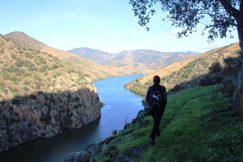 Douro Yacht Charter & Bungalows São João da Pesqueira Esterno foto